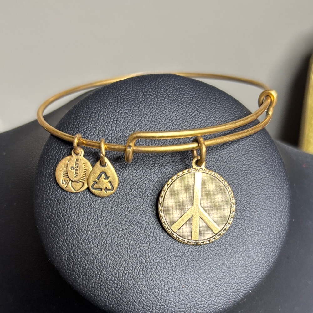 Alex and Ani Gold Peace Charm Bangle Charm Bracelet